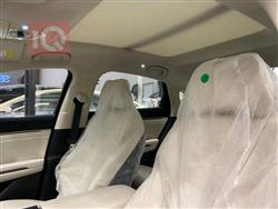 بي واي دي كوين L DM-i